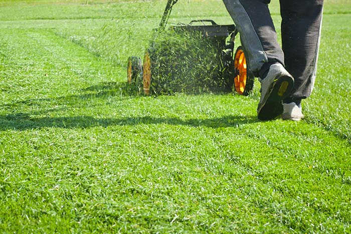 gras afrijden