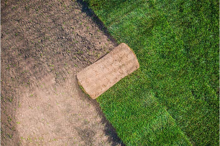 grasmatten rollen